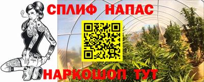 прущие грибы Ачхой-Мартан