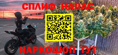 прущие грибы Ачхой-Мартан